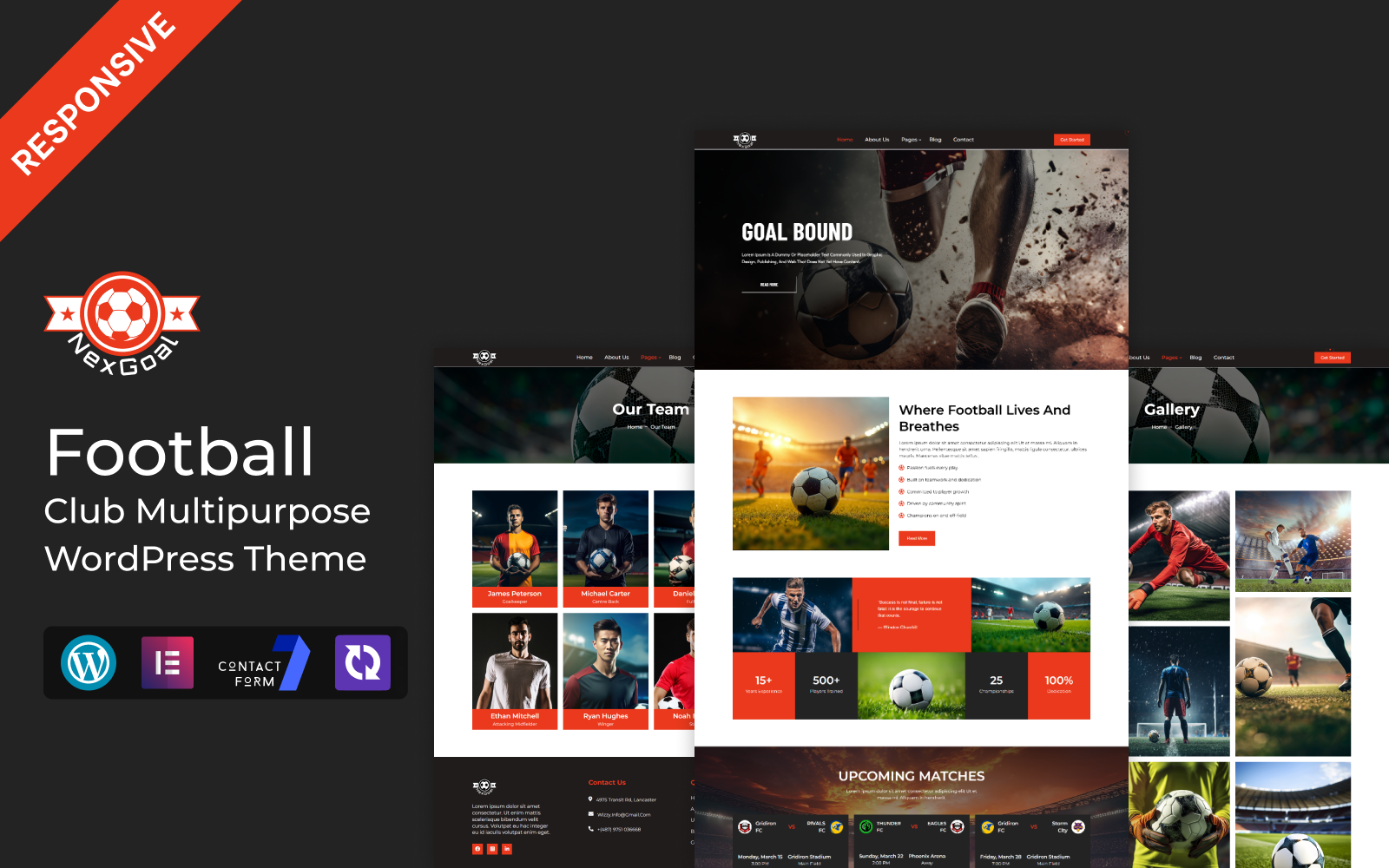 NexGoal - Football Club Multipurpose Responsive WordPress Theme