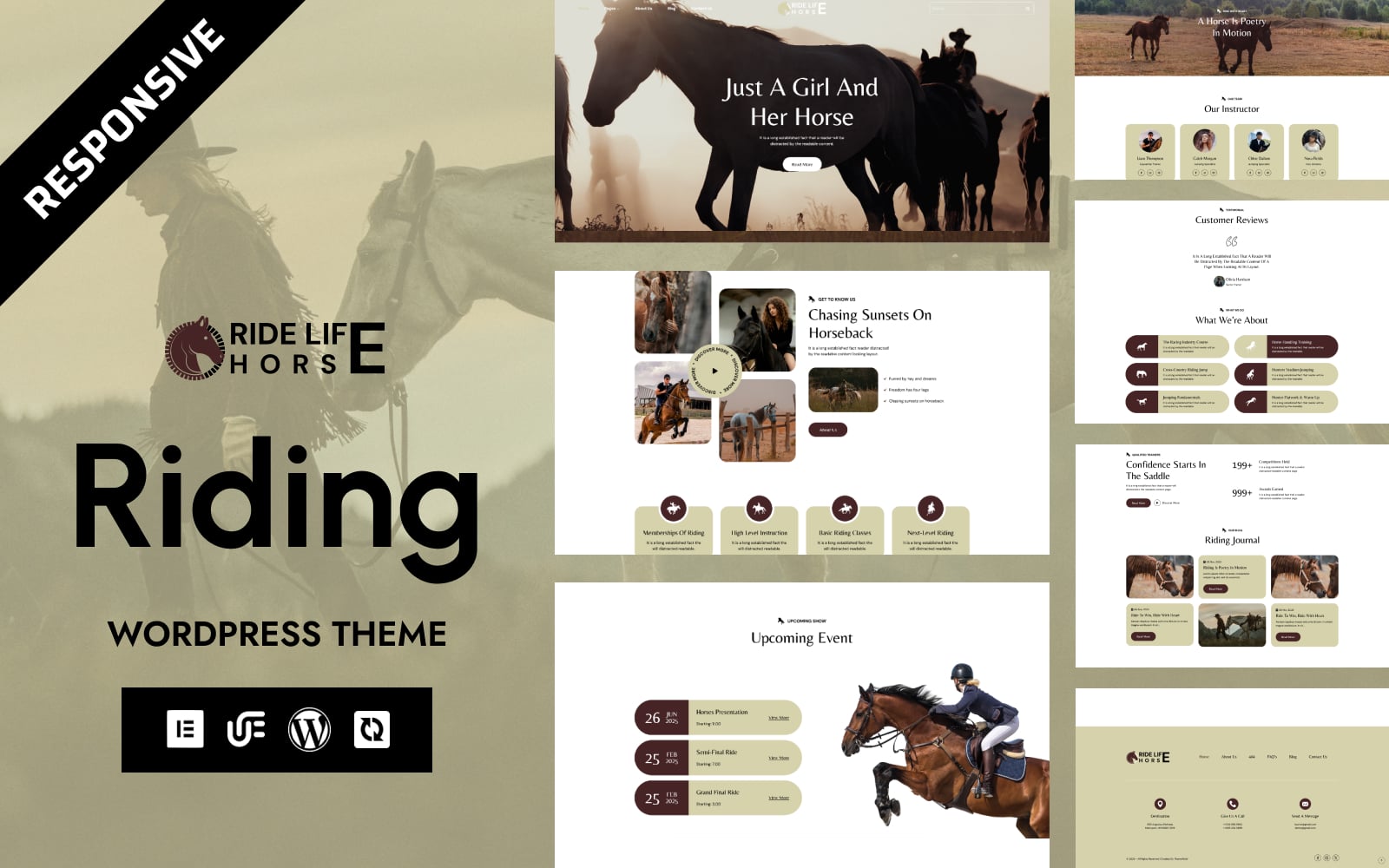 Ride-Life - Horse Riding School, Horse Racing & Equestrian Center WordPress Elementor Theme WordPress Theme