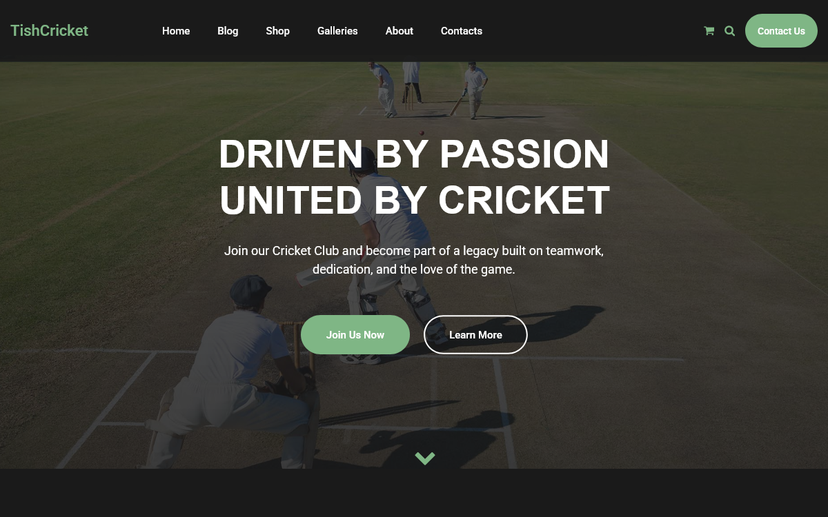TishCricket - Cricket Club WordPress Theme